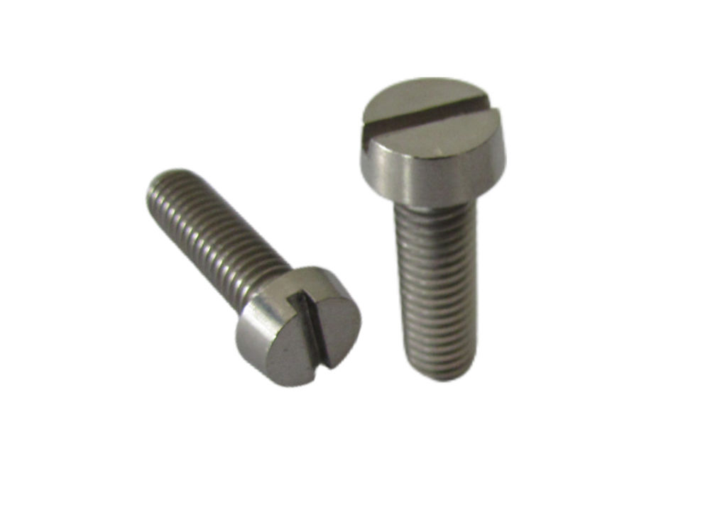 Customized Titanium Slotted Head Screws For Industrial